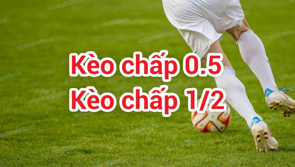 kèo chấo 1/2